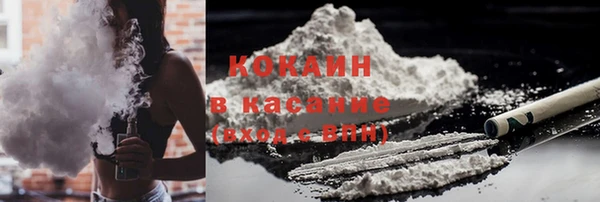 эйфоретик Гусь-Хрустальный