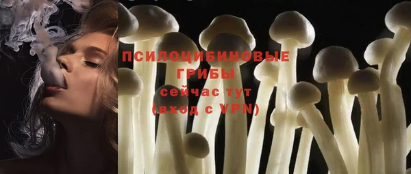 spice Гусиноозёрск