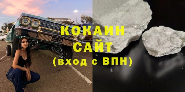 эйфоретик Гусь-Хрустальный