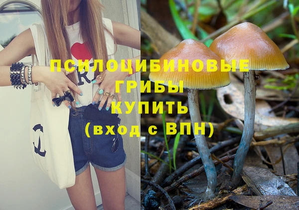 эйфоретик Гусь-Хрустальный