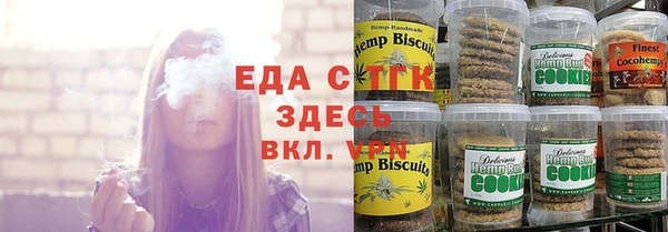 эйфоретик Гусь-Хрустальный