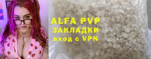 эйфоретик Гусь-Хрустальный