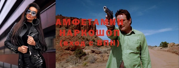 эйфоретик Гусь-Хрустальный