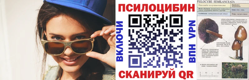 Галлюциногенные грибы мицелий Грайворон